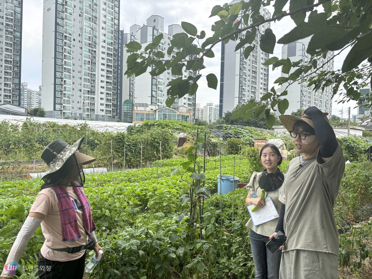 (제공: 들여다밭)