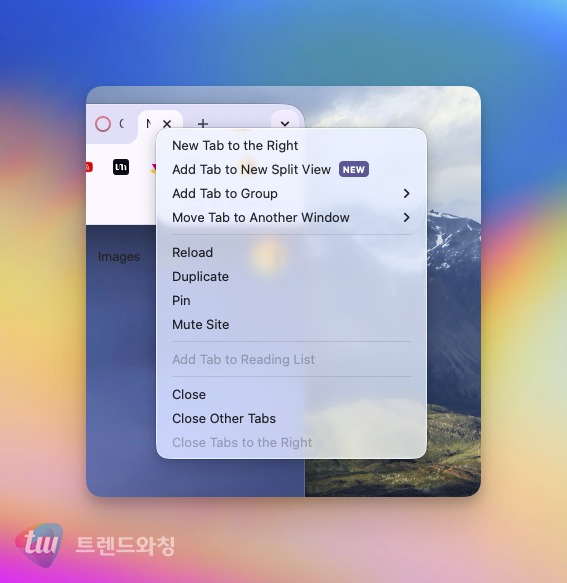 (출처: 토토사이트 + 메타Ai 전략연구소)